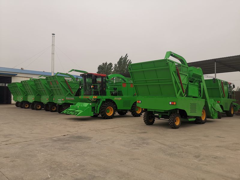 玉米青儲(chǔ)機(jī)帶領(lǐng)農(nóng)民走上致富路！